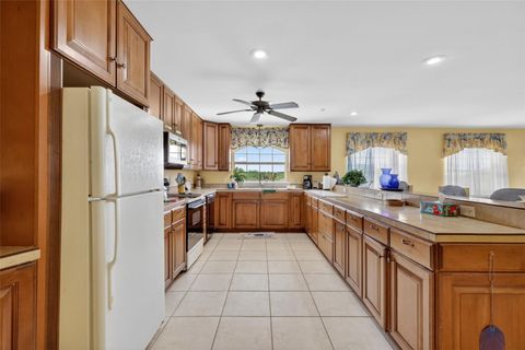 Tiny photo for 17269 SE 260th Avenue Road, Umatilla, FL 32784 (MLS # G5112952)