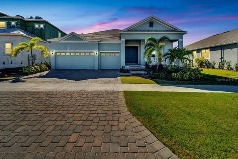 A home in APOLLO BEACH