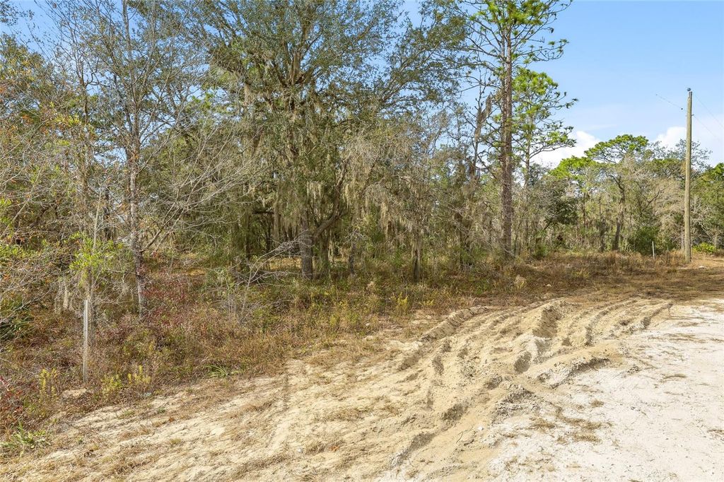 Photo of Cayman Road, Weeki Wachee, FL 34614 (MLS # W7882957)