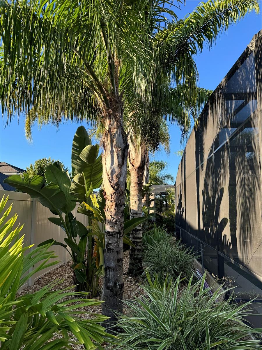 ORCHARD PK/STILLWATER XING PH - Residential