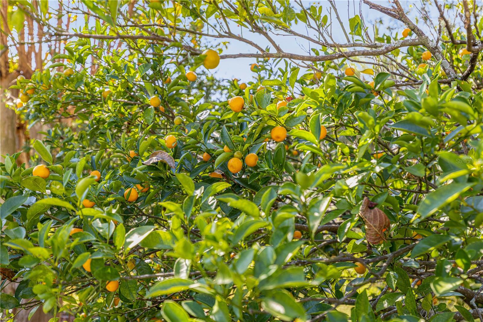 ON TOP OF THE WORLD - Residential