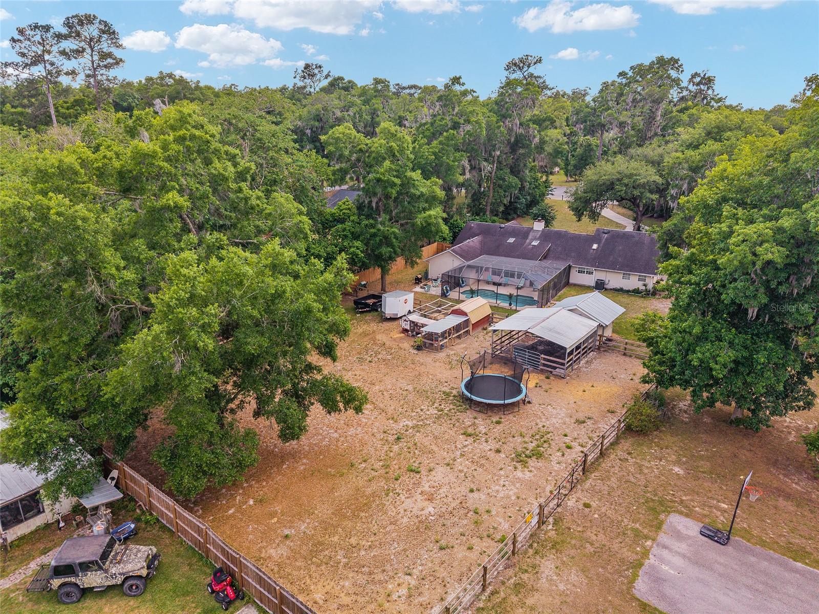 SHAKER TREE - Residential