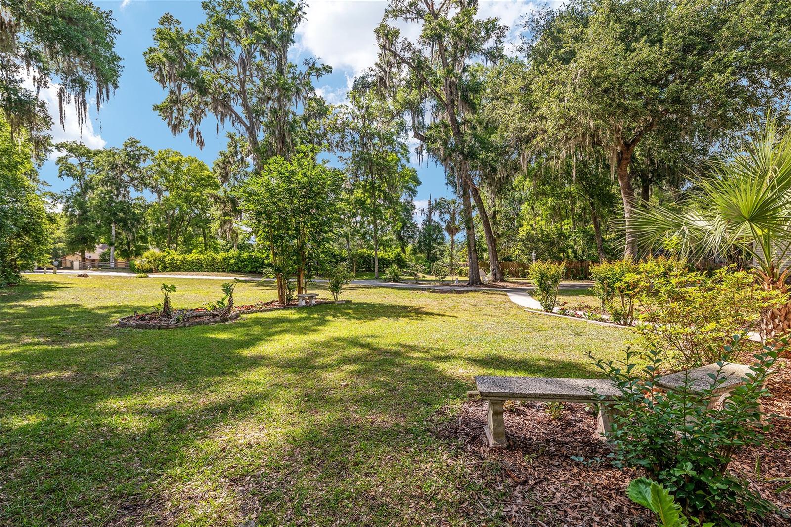 SHAKER TREE - Residential