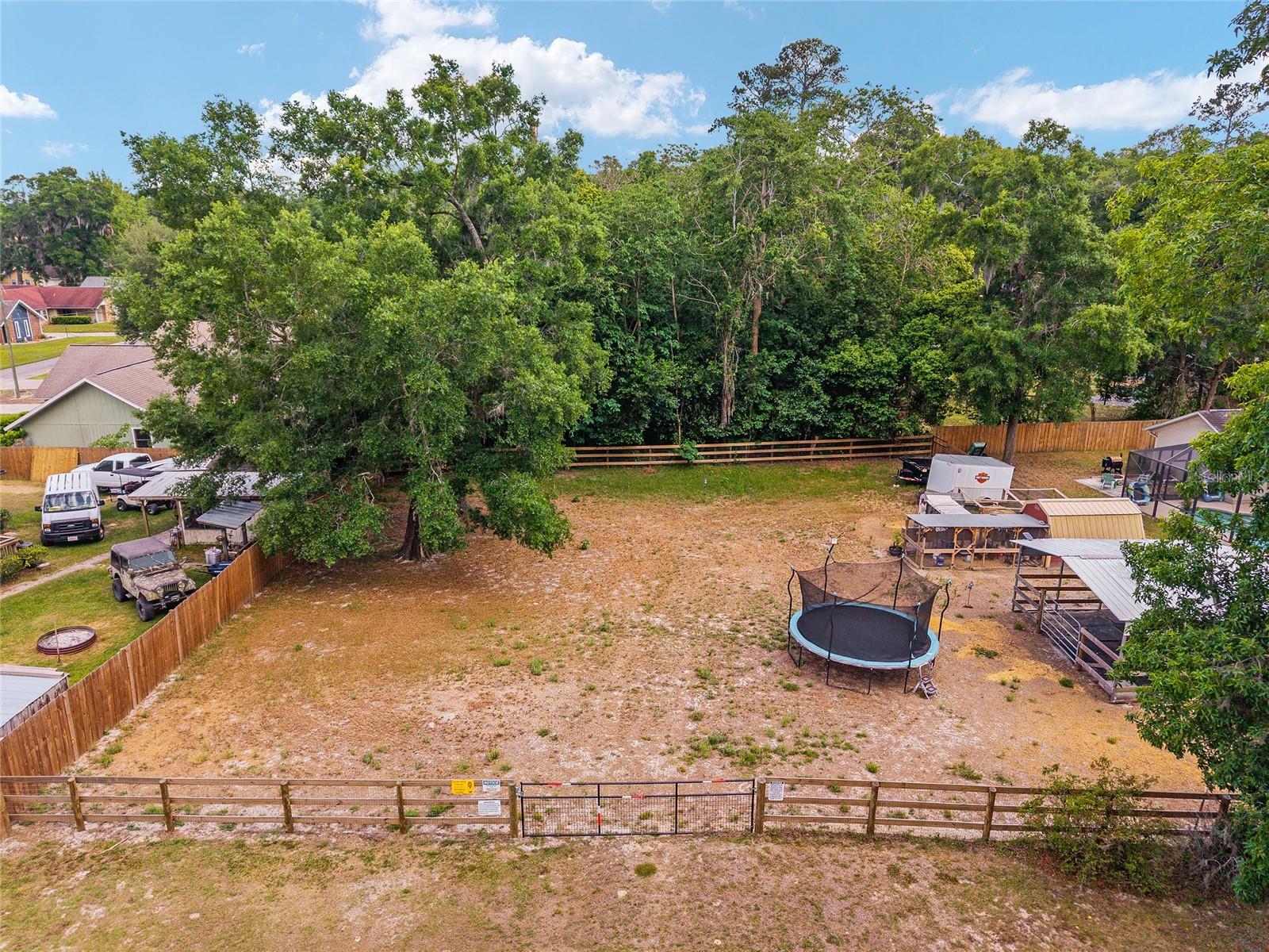 SHAKER TREE - Residential