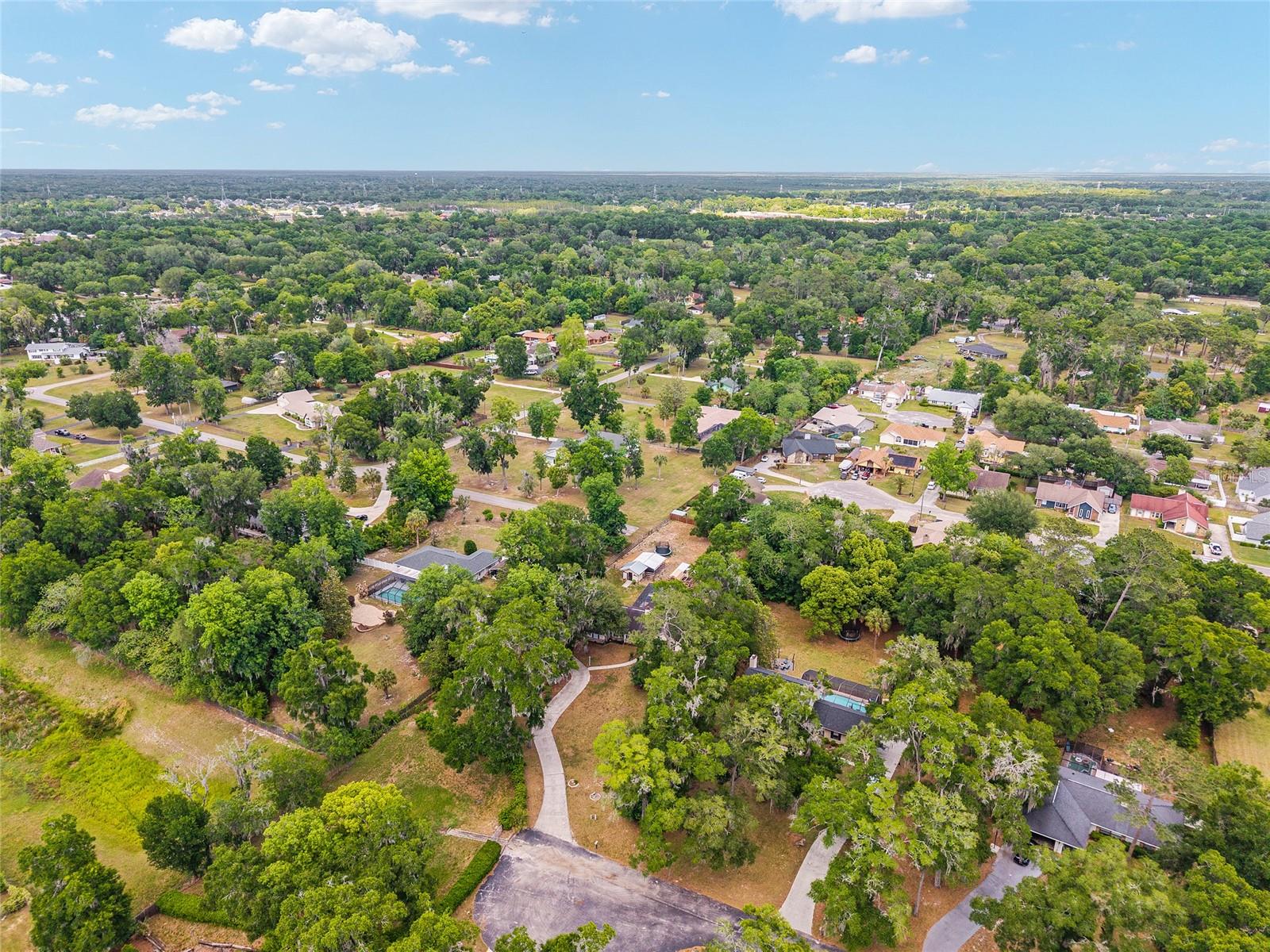 SHAKER TREE - Residential