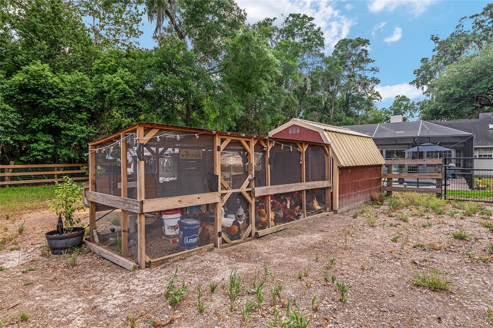 SHAKER TREE - Residential