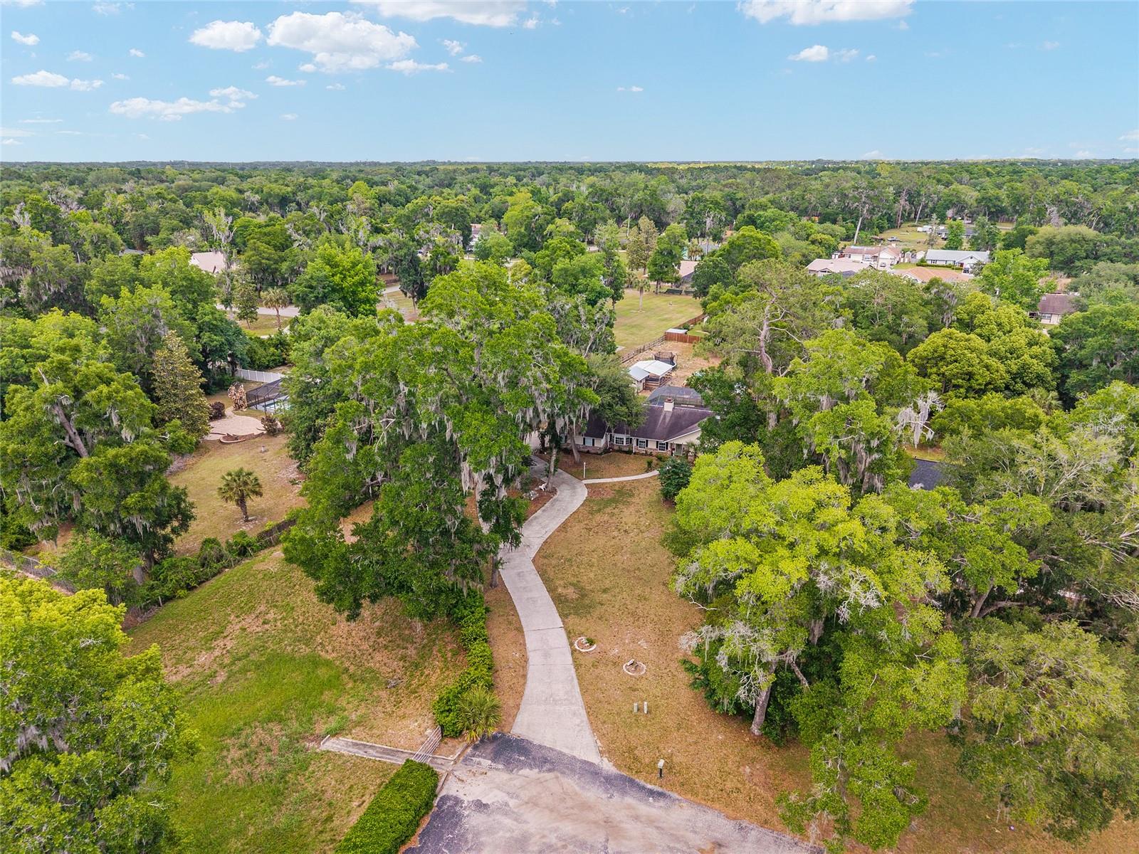 SHAKER TREE - Residential