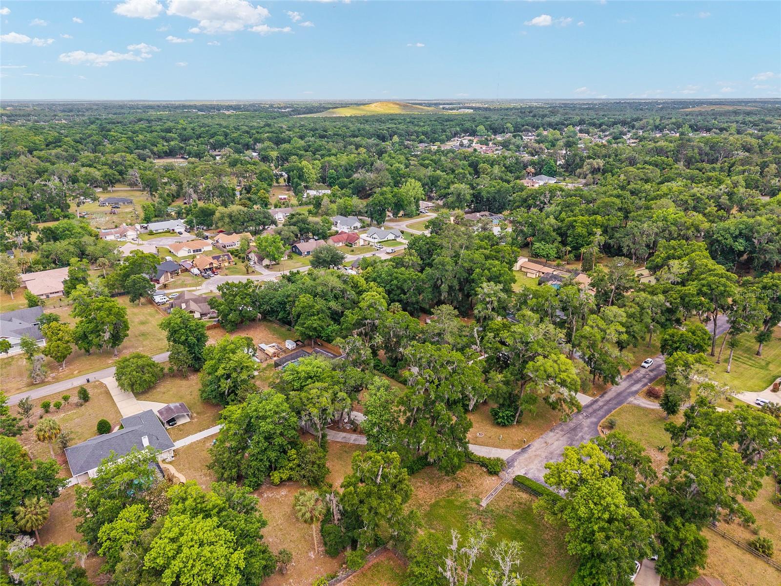 SHAKER TREE - Residential