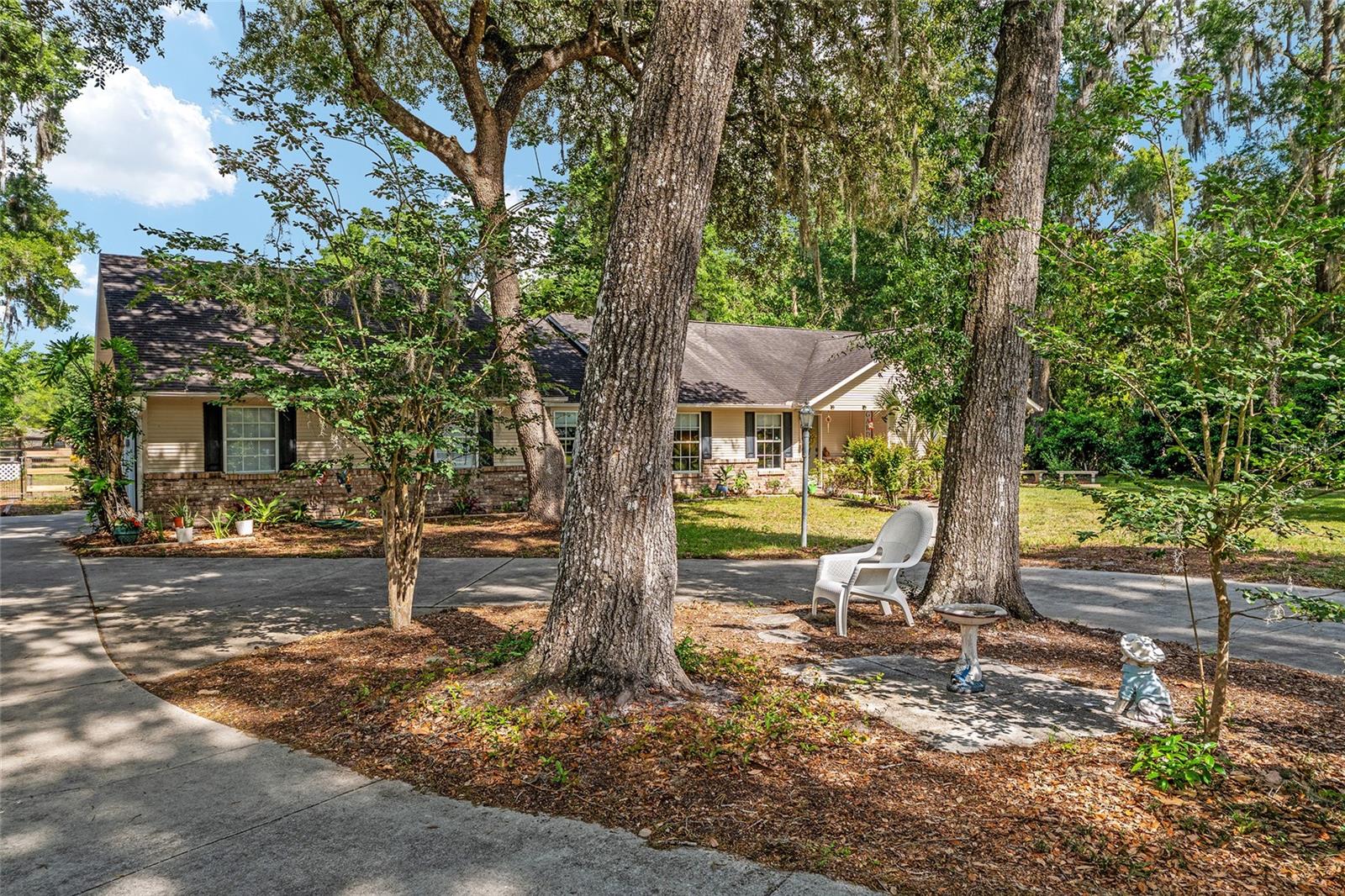 SHAKER TREE - Residential