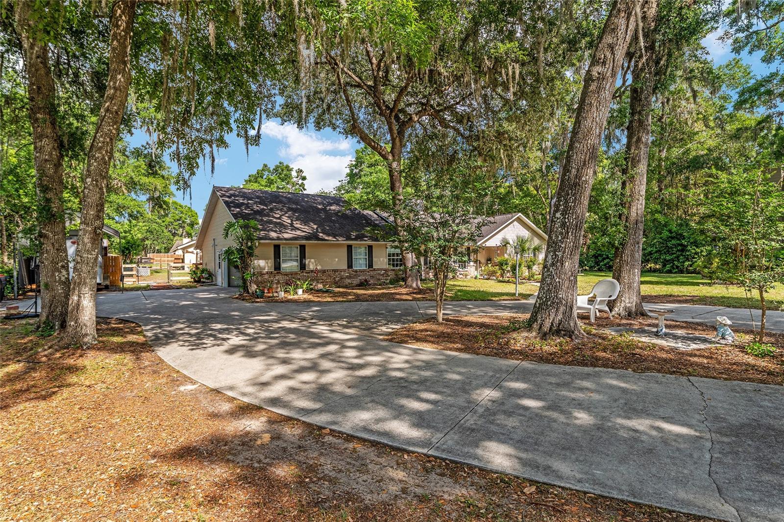 SHAKER TREE - Residential