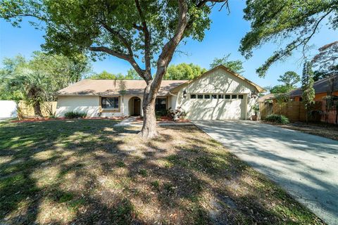 3419 PLEASANT LAKE DRIVE TAMPA FL 33618