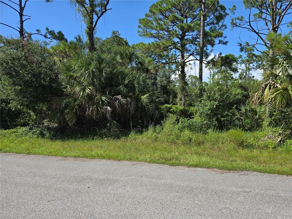 Photo of 14506 Carousel Lane, Port Charlotte, FL 33953 (MLS # A4667944)