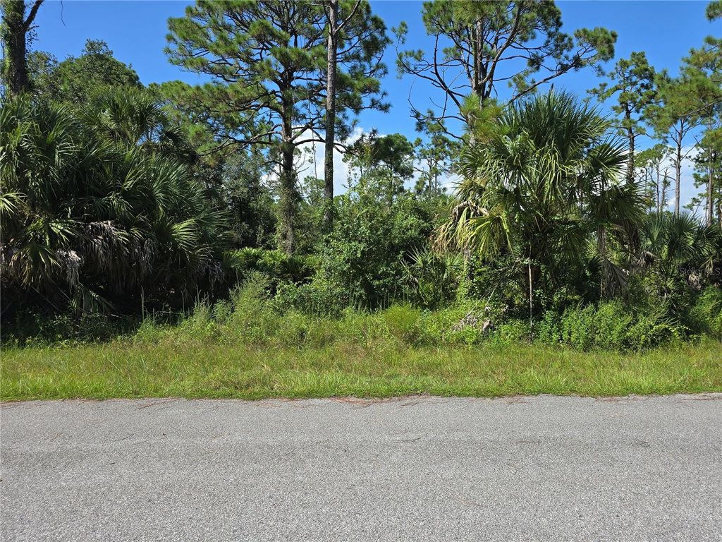 Photo of 14506 Carousel Lane, Port Charlotte, FL 33953 (MLS # A4667944)