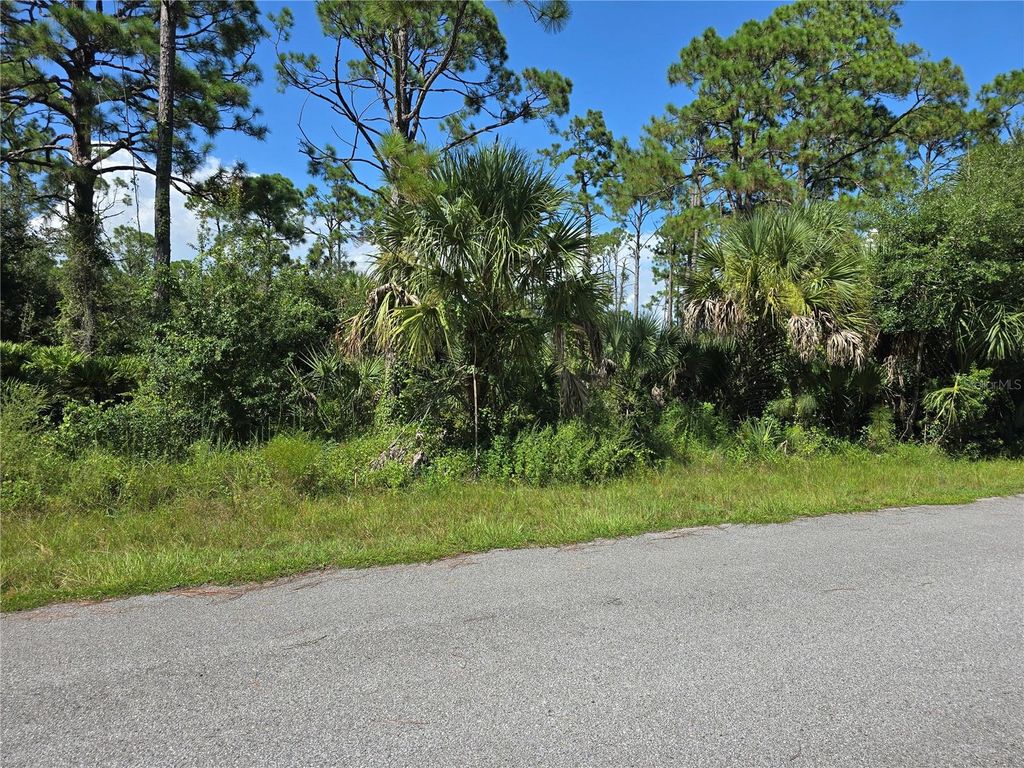 Photo of 14506 Carousel Lane, Port Charlotte, FL 33953 (MLS # A4667944)
