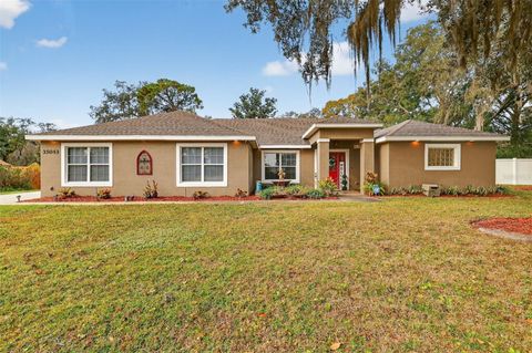 35043 SILVER OAK DRIVE LEESBURG FL 34788