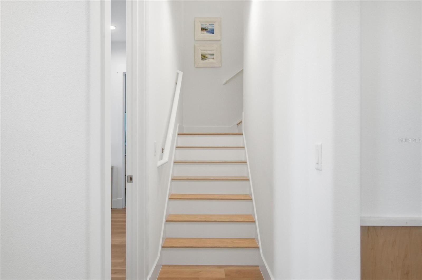 OCEAN HAMMOCK - Residential