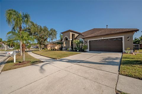 A home in TAMPA