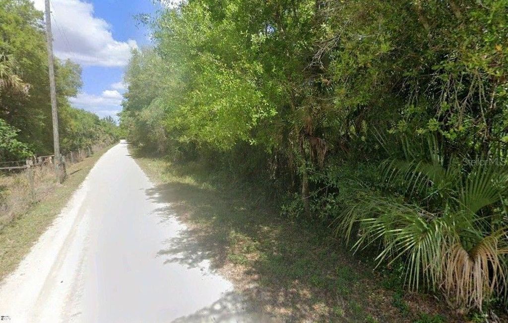 Photo of 8115 SW Horse Creek Road, Arcadia, FL 34266 (MLS # C7521036)