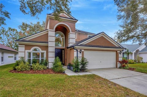 A home in LITHIA