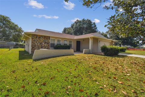 A home in LAND O LAKES