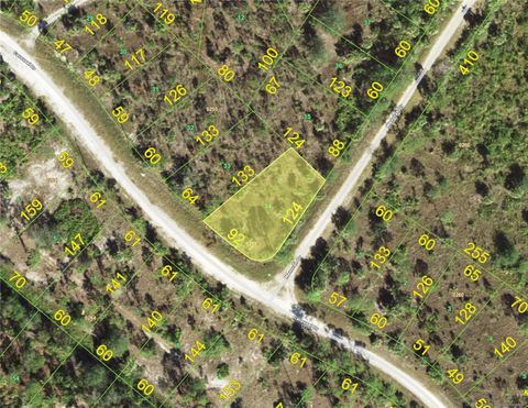 13389 MENORAH DRIVE PUNTA GORDA FL 33955