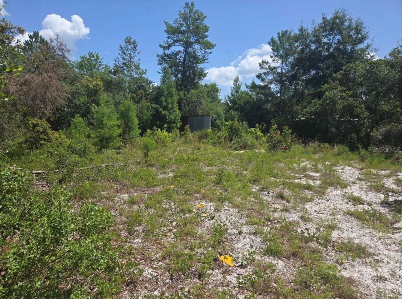 45560 GEORGIA STREET