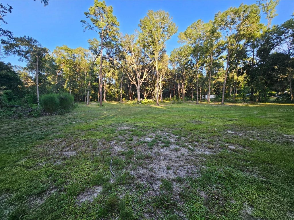 Photo of 4502 SW 63rd Boulevard, Gainesville, FL 32608 (MLS # O6413034)