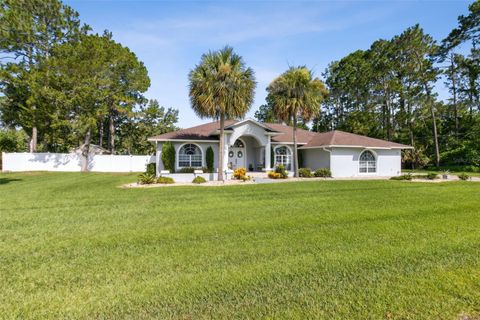 A home in PALM COAST