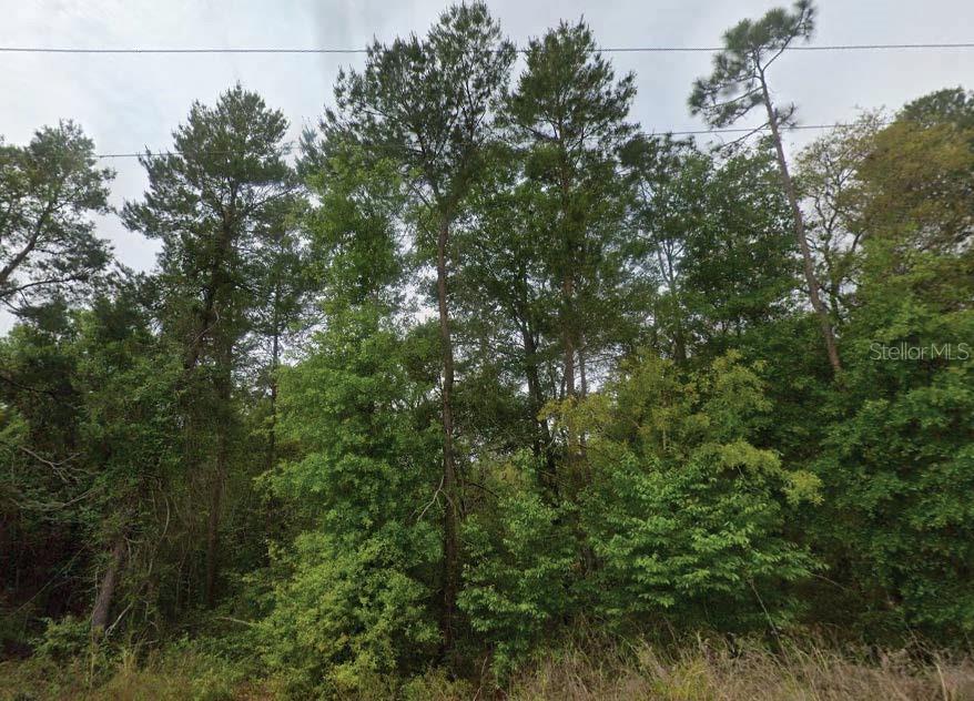 Nestled in the peaceful St. Johns Riverside Estates, this vacant residential parcel offers a serene, natural backdrop—bordered by forests and just minutes from the St. Johns River and Dunn’s Creek. The seller has additional parcels in both Putnam and Washington Counties and is open to discounted pricing for multiple lot purchases. All information is deemed reliable but should be independently verified.