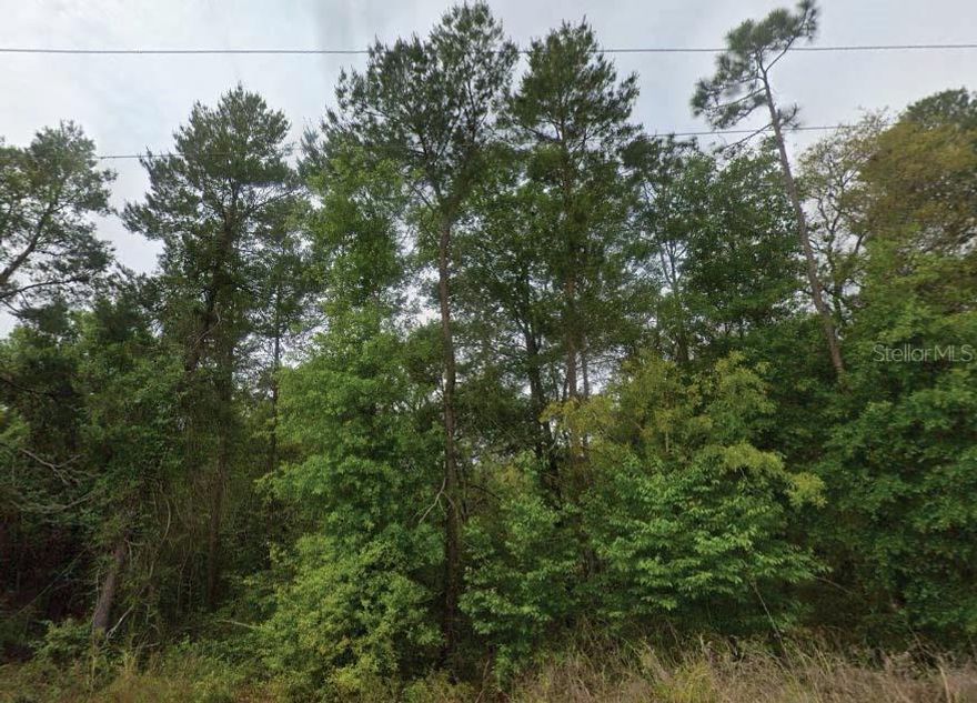 Nestled in the peaceful St. Johns Riverside Estates, this vacant residential parcel offers a serene, natural backdrop—bordered by forests and just minutes from the St. Johns River and Dunn’s Creek. The seller has additional parcels in both Putnam and Washington Counties and is open to discounted pricing for multiple lot purchases. All information is deemed reliable but should be independently verified.