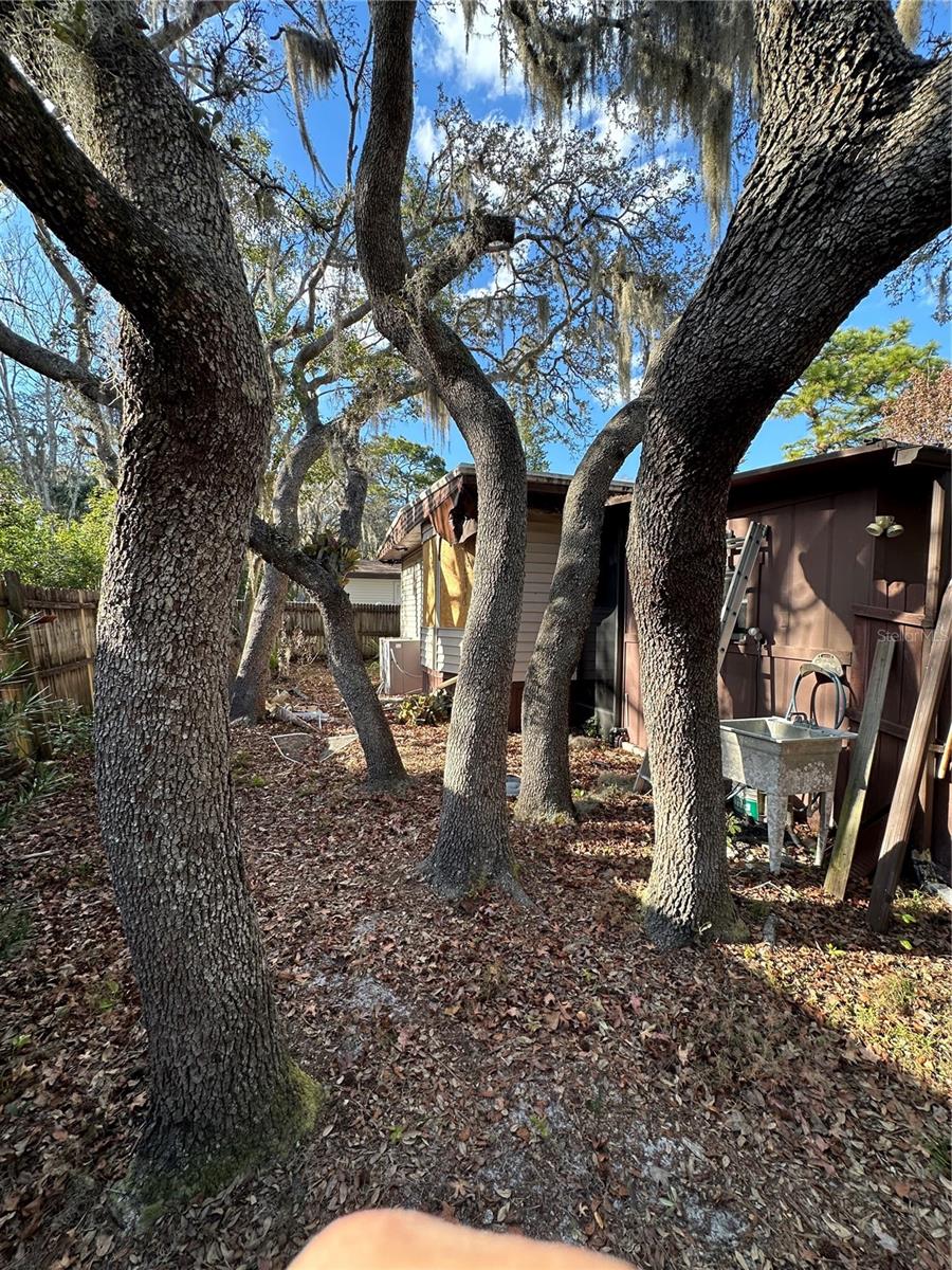 311 N FOREST BOULEVARD