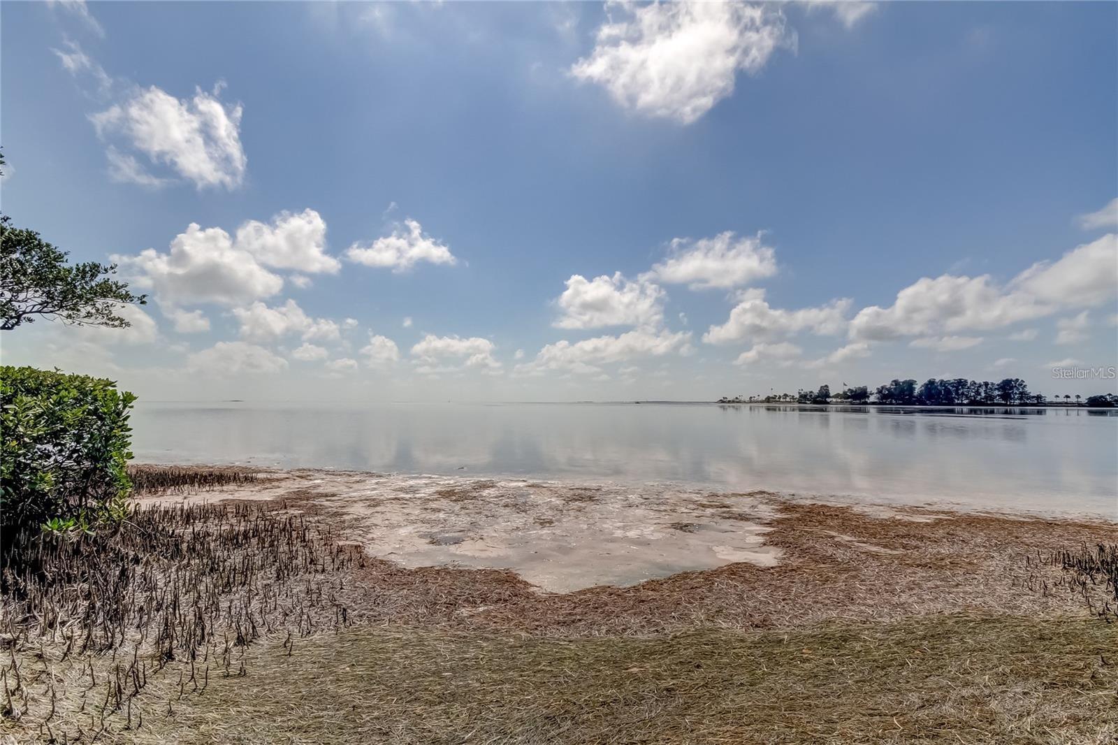 ISLAND CLUB OF TARPON - Residential Lease