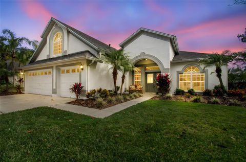 Photo of 10101 Whisper Pointe Drive, Tampa, FL 33647 (MLS # TB8457279)