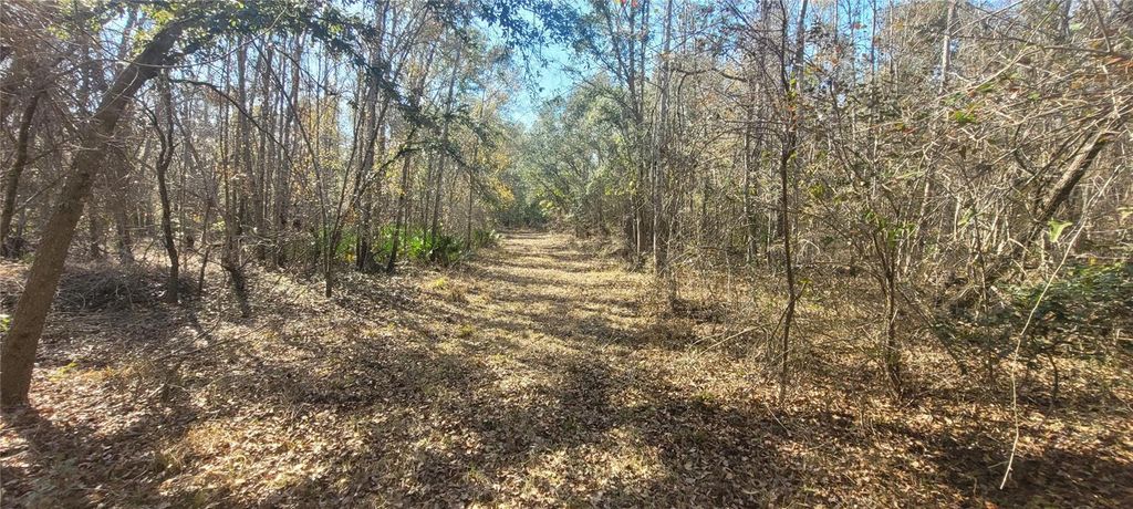 Photo of SW Sr751, Jasper, FL 32052 (MLS # A4682974)