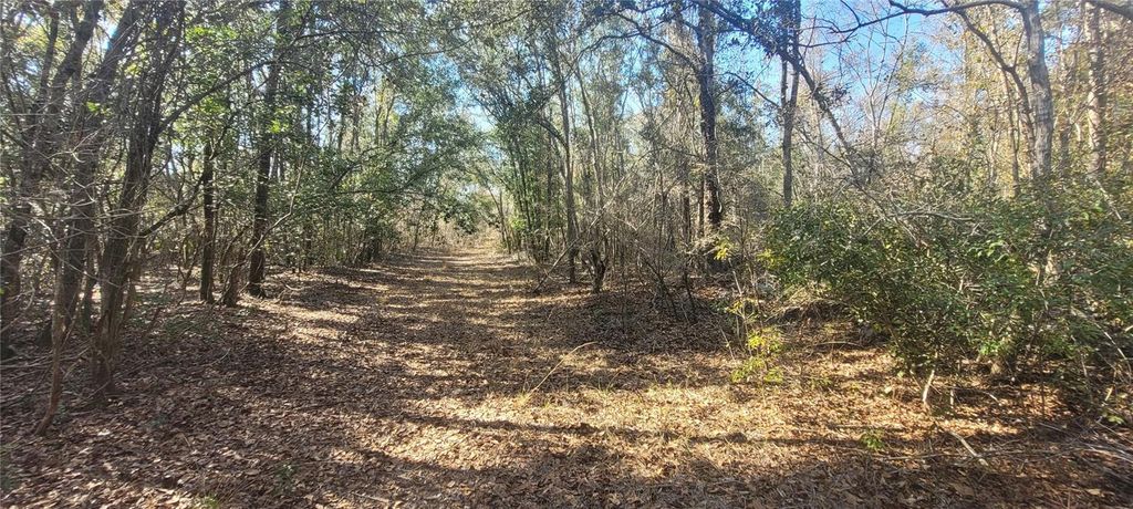 Photo of SW Sr751, Jasper, FL 32052 (MLS # A4682974)