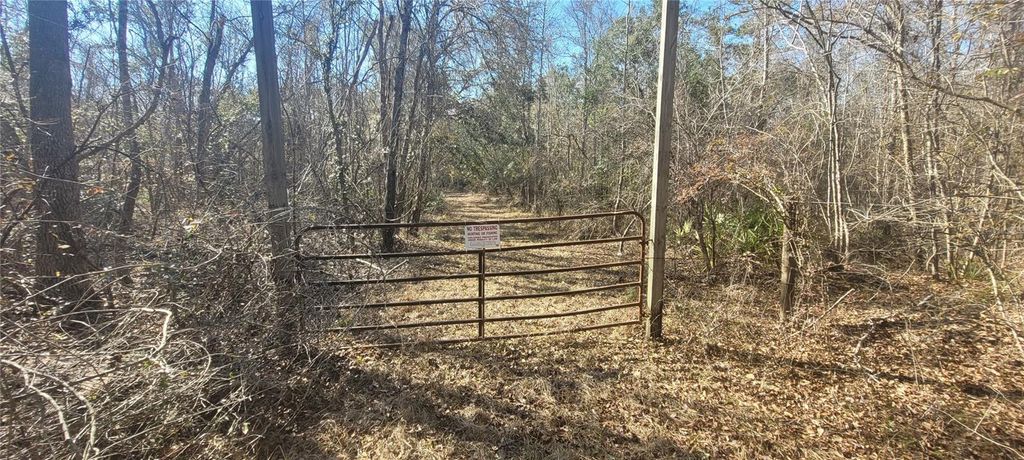 Photo of SW Sr751, Jasper, FL 32052 (MLS # A4682974)