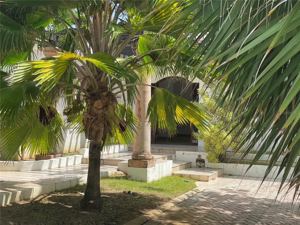 PUNTA LAS MARIAS - Residential