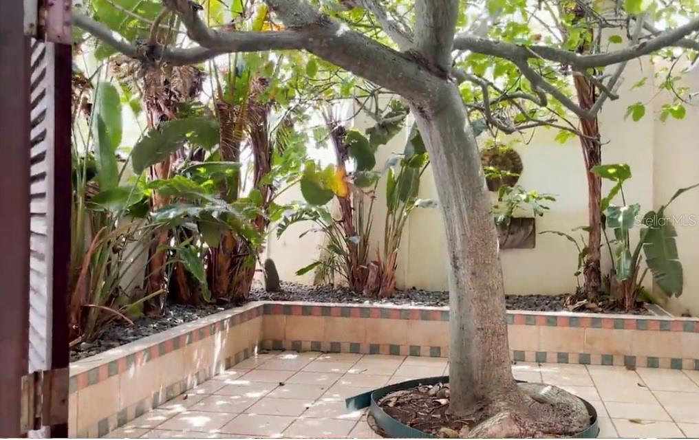 PUNTA LAS MARIAS - Residential