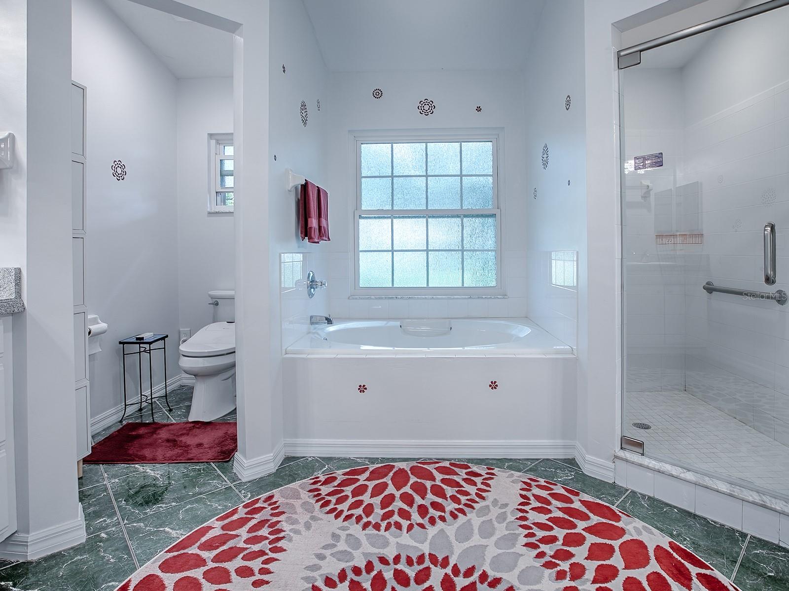 PLANTATION AT LEESBURG WATERBRIDGE VILLAGE - Residential