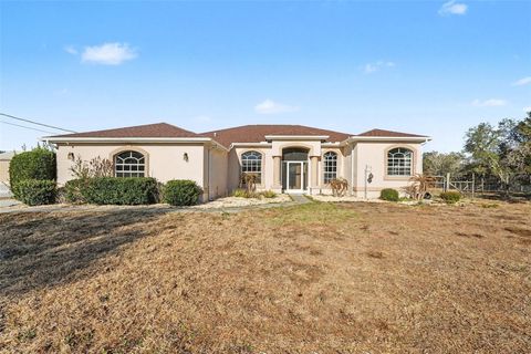 Photo of 16031 Donney Moor Lane, Spring Hill, FL 34610 (MLS # TB8473601)