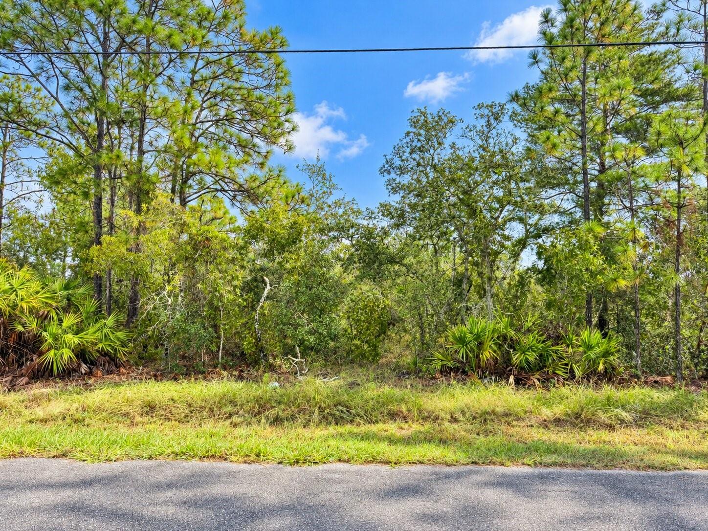 13052 JAYWALK ROAD