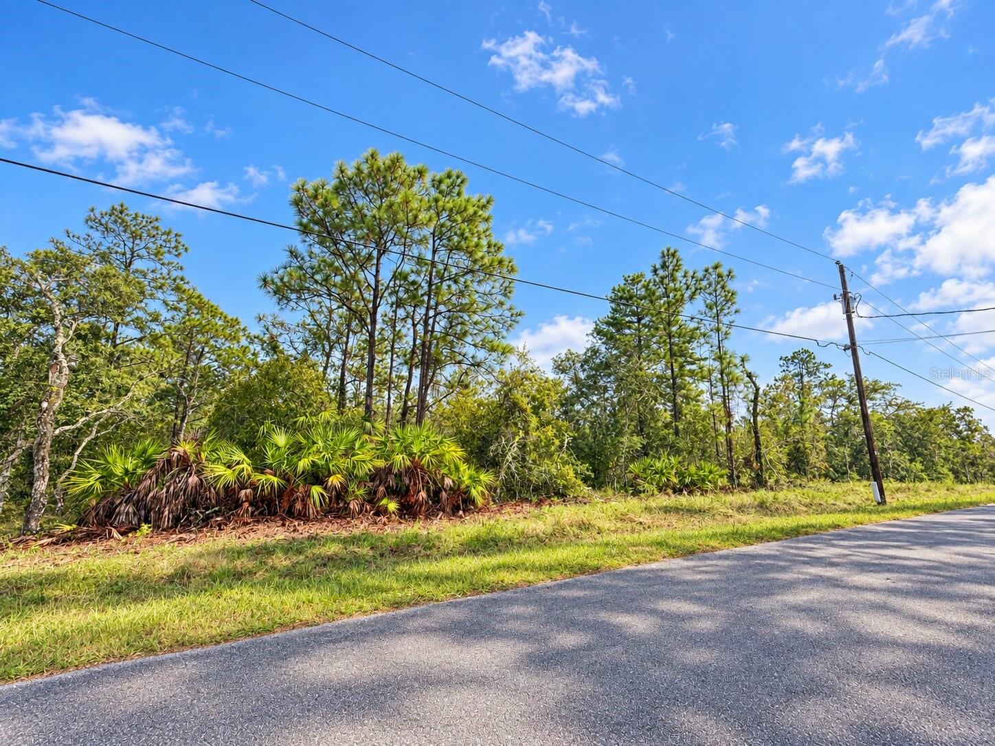 13052 JAYWALK ROAD