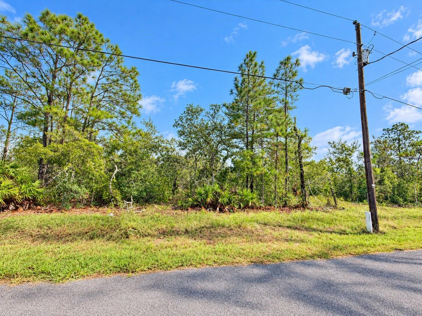 13052 JAYWALK ROAD