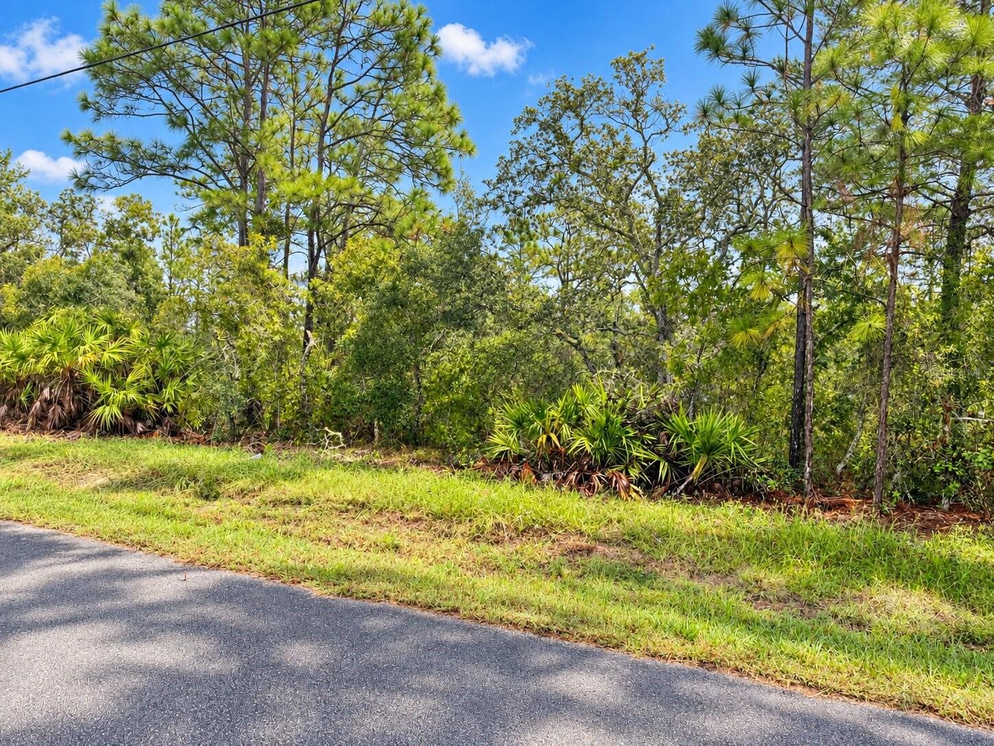 13052 JAYWALK ROAD