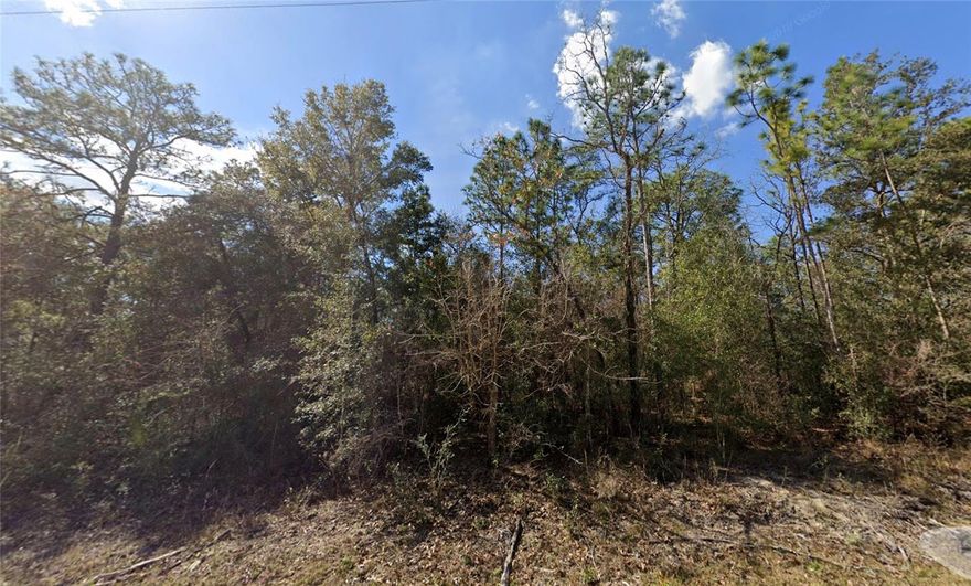 Looking for the perfect spot to build your dream home or next investment? This awesome lot in the Royal Highlands area of Centralia (Spring Hill) could be just what you’re after. It’s a dry, mostly wooded piece of land with plenty of space and privacy—ideal for a custom home, vacation retreat, or rental property. The land is nice and level, so getting started will be a breeze. You’ll love the peaceful vibe, plus it’s super close to schools, shopping, parks, and outdoor fun. Don’t miss your chance to grab a slice of this up-and-coming neighborhood!