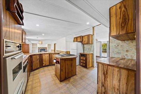 Tiny photo for 2211 N Croft Avenue, Hernando, FL 34442 (MLS # OM719953)