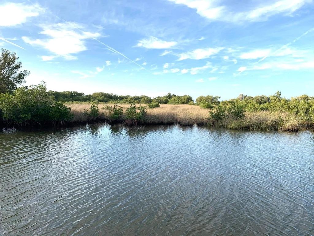 Photo of 6733 Driftwood Drive, Hudson, FL 34667 (MLS # TB8507983)
