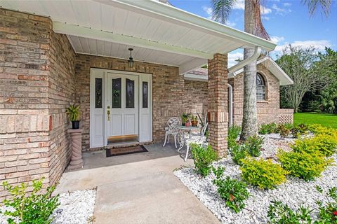 A home in ORMOND BEACH