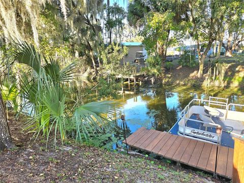 Tiny photo for 920 Cr 452a, Lake Panasoffkee, FL 33538 (MLS # OM715637)