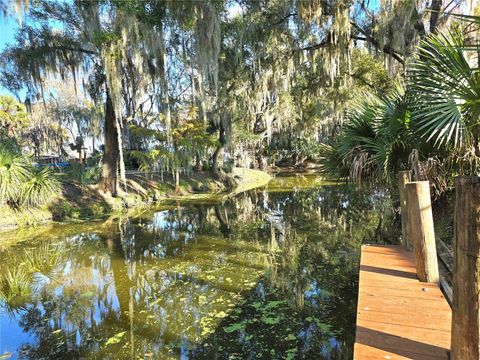 Tiny photo for 920 Cr 452a, Lake Panasoffkee, FL 33538 (MLS # OM715637)